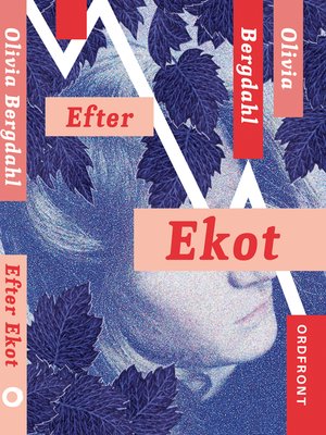 cover image of Efter Ekot